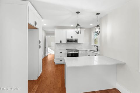 Tiny photo for 814 E Jefferson St, Jefferson City, TN 37760 (MLS # 1324321)