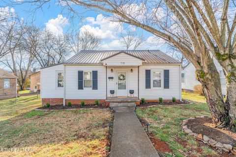 Photo of 715 Ferry St, Loudon, TN 37774 (MLS # 1330219)
