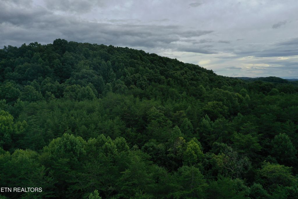 Photo of 66.48 acres Milldale Rd, Dandridge, TN 37725 (MLS # 1317931)