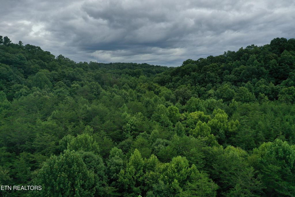 Photo of 66.48 acres Milldale Rd, Dandridge, TN 37725 (MLS # 1317931)