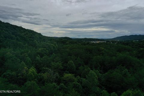 Photo of 66.48 acres Milldale Rd, Dandridge, TN 37725 (MLS # 1317931)