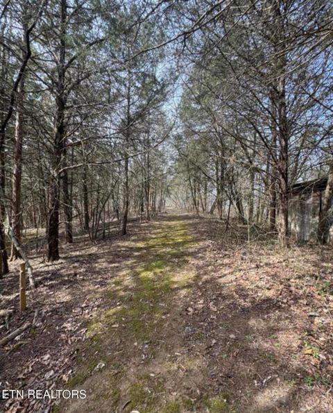 Tiny photo for Bear Creek Rd Off Rd, Bybee, TN 37713 (MLS # 1333869)