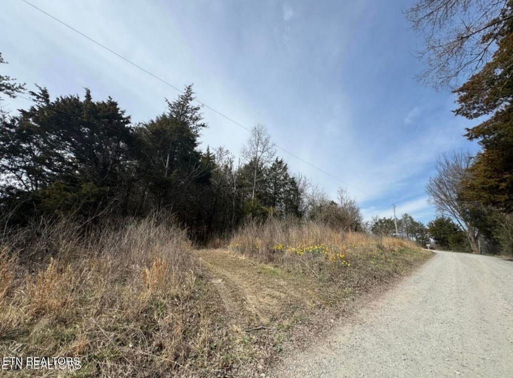 Photo of Bear Creek Rd Off Rd, Bybee, TN 37713 (MLS # 1333869)