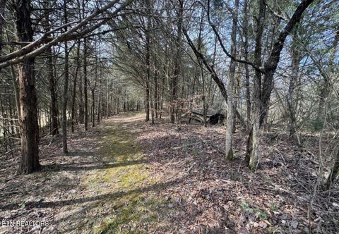 Tiny photo for Bear Creek Rd Off Rd, Bybee, TN 37713 (MLS # 1333869)