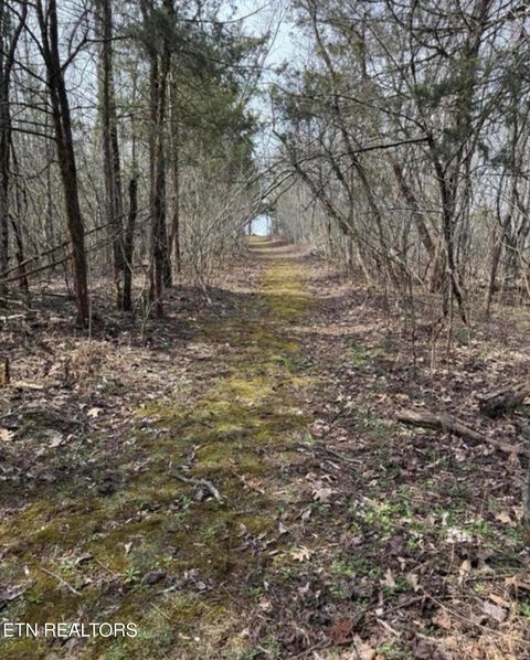 Tiny photo for Bear Creek Rd Off Rd, Bybee, TN 37713 (MLS # 1333869)