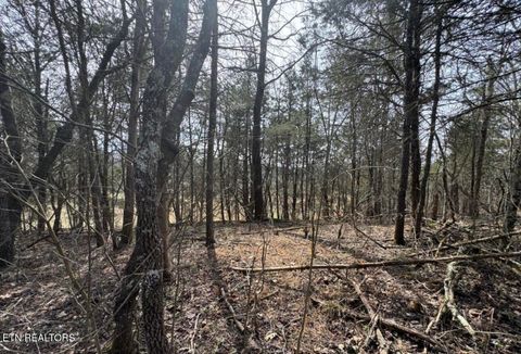 Tiny photo for Bear Creek Rd Off Rd, Bybee, TN 37713 (MLS # 1333869)