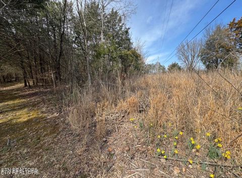 Tiny photo for Bear Creek Rd Off Rd, Bybee, TN 37713 (MLS # 1333869)