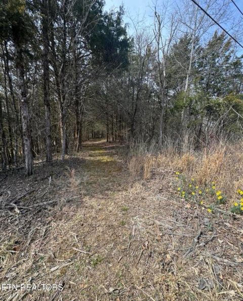 Tiny photo for Bear Creek Rd Off Rd, Bybee, TN 37713 (MLS # 1333869)
