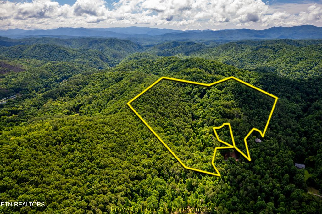Photo of 154 Poplar Road Rd, Tellico Plains, TN 37385 (MLS # 1345784)