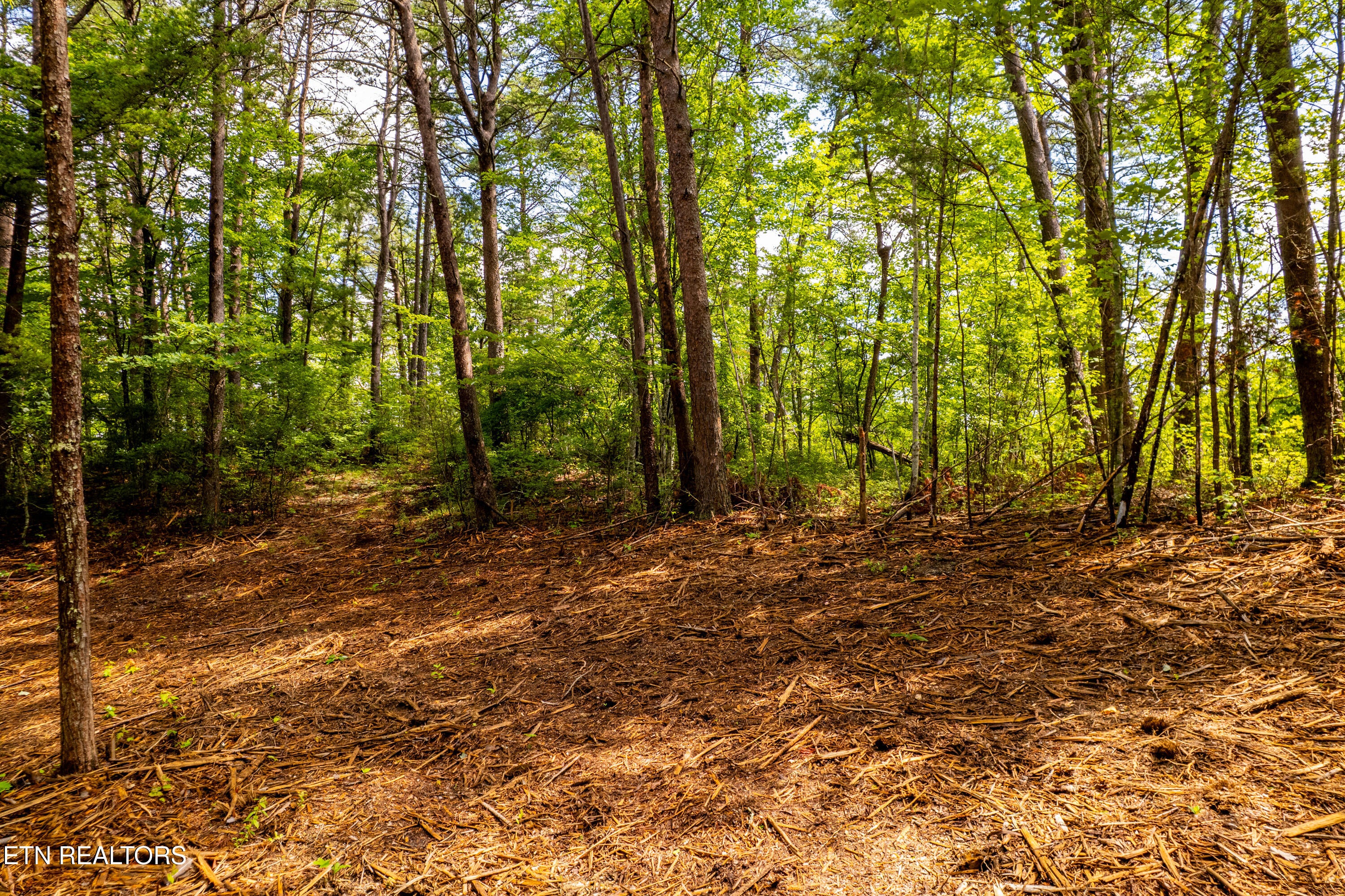 154 Poplar Road Rd