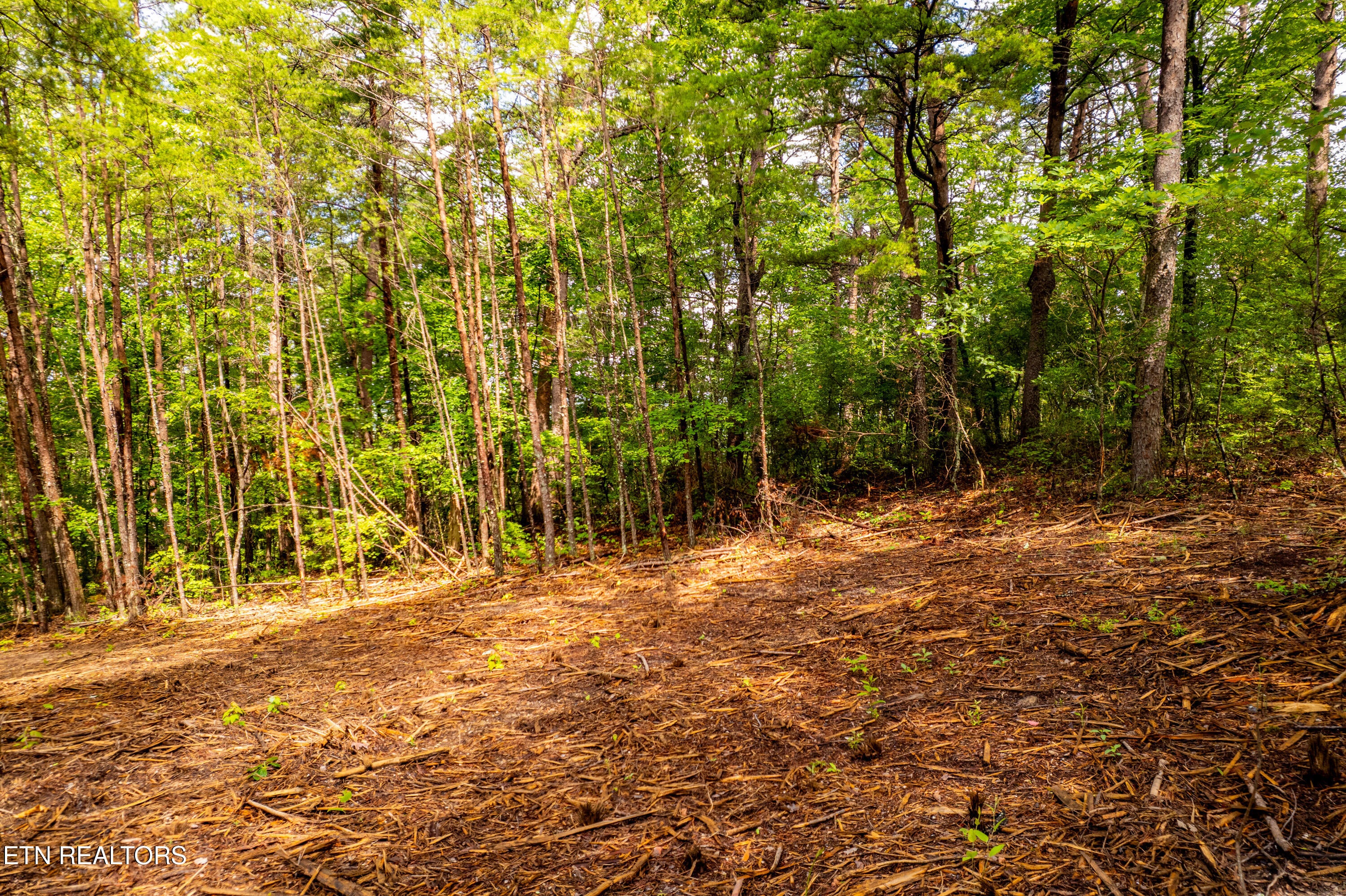 154 Poplar Road Rd