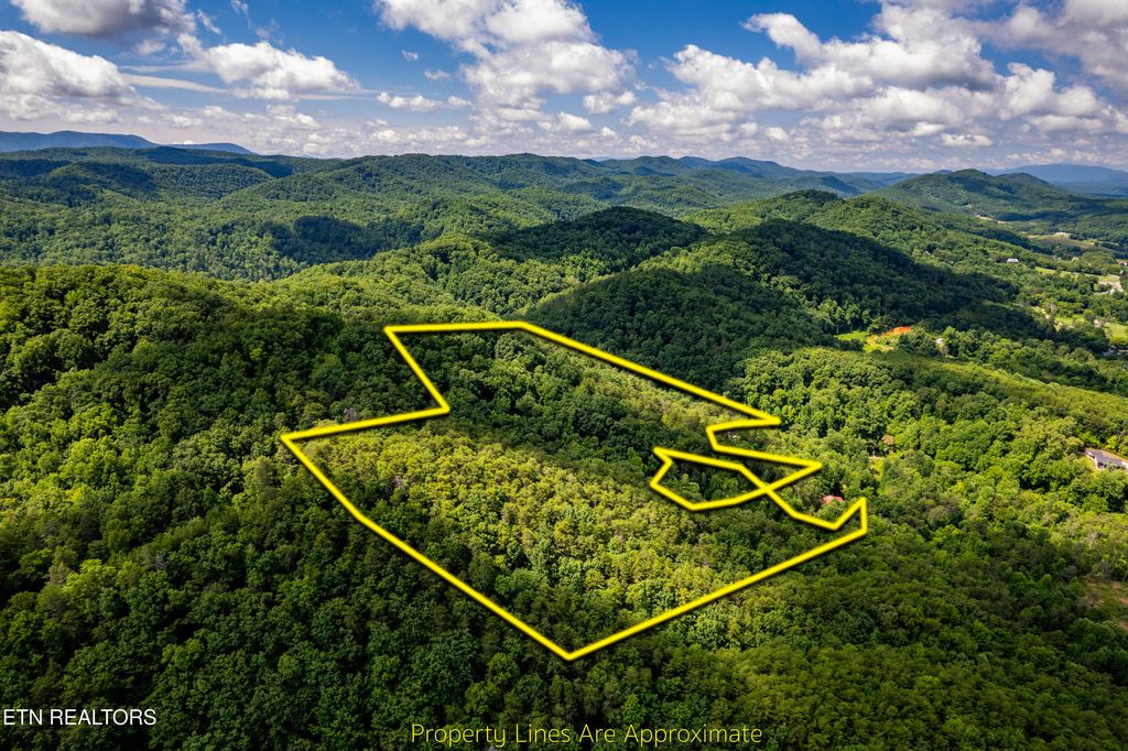 Photo of 154 Poplar Road Rd, Tellico Plains, TN 37385 (MLS # 1345784)