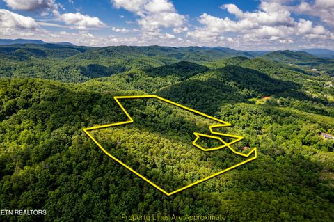 Photo of 154 Poplar Road Rd, Tellico Plains, TN 37385 (MLS # 1345784)