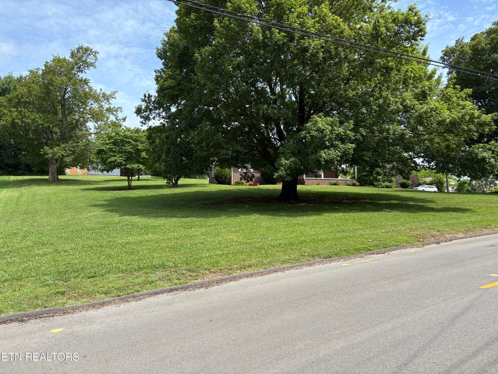 Photo of 1605 College St, White Pine, TN 37890 (MLS # 1316444)