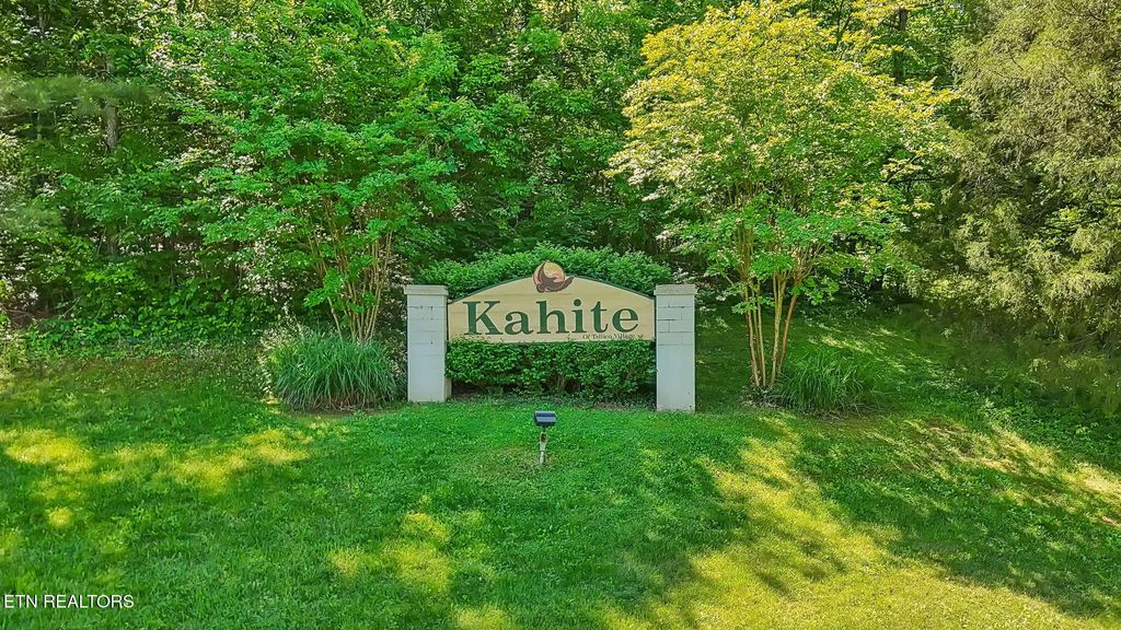Photo of 188 Dudi Tr, Vonore, TN 37885 (MLS # 1300260)