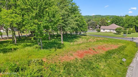 Photo of 188 Dudi Tr, Vonore, TN 37885 (MLS # 1300260)
