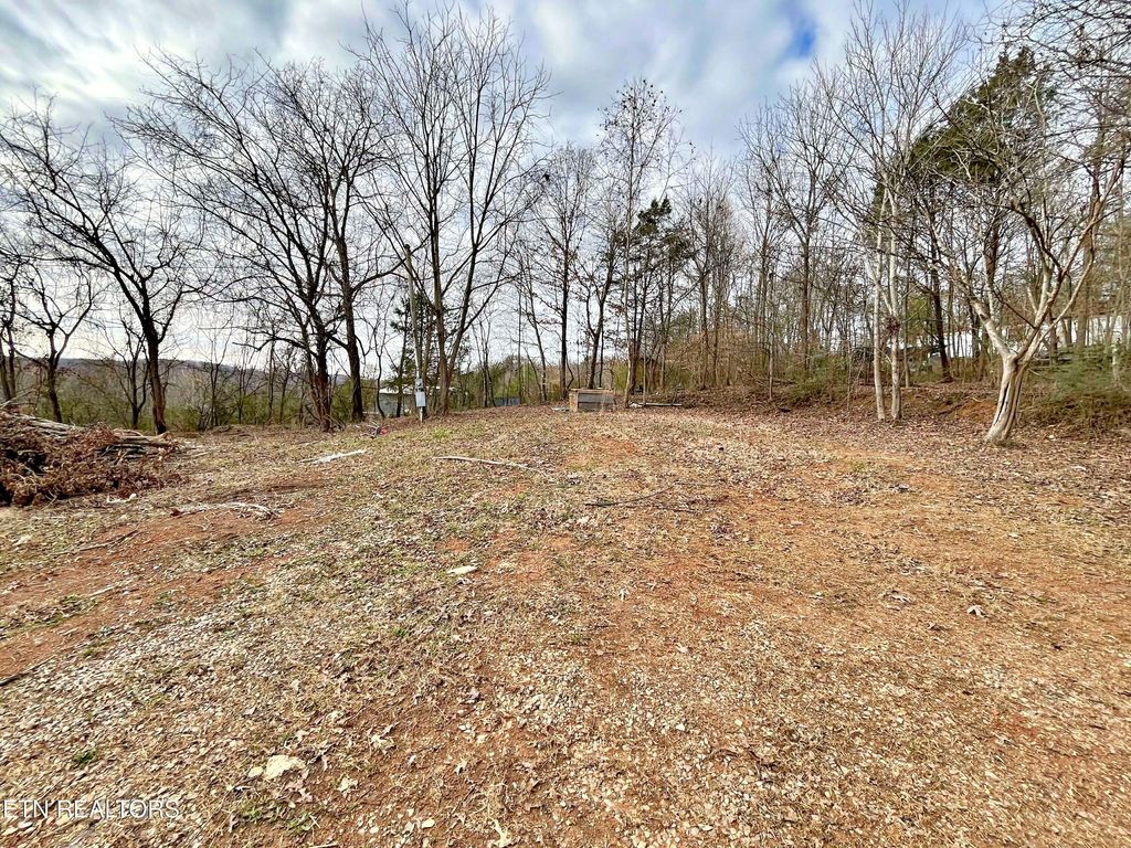 Photo of 110 Pinecrest Drive Dr, Loudon, TN 37774 (MLS # 1324833)