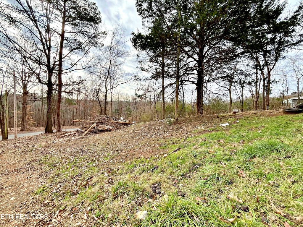 Photo of 110 Pinecrest Drive Dr, Loudon, TN 37774 (MLS # 1324833)