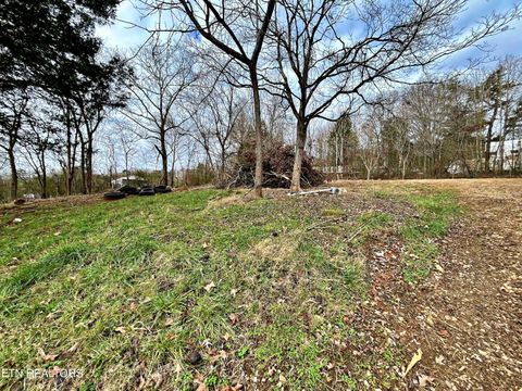Tiny photo for 110 Pinecrest Drive Dr, Loudon, TN 37774 (MLS # 1324833)