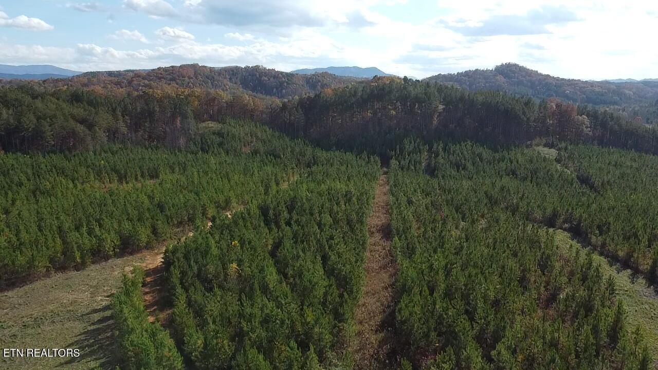 Millsaps Road