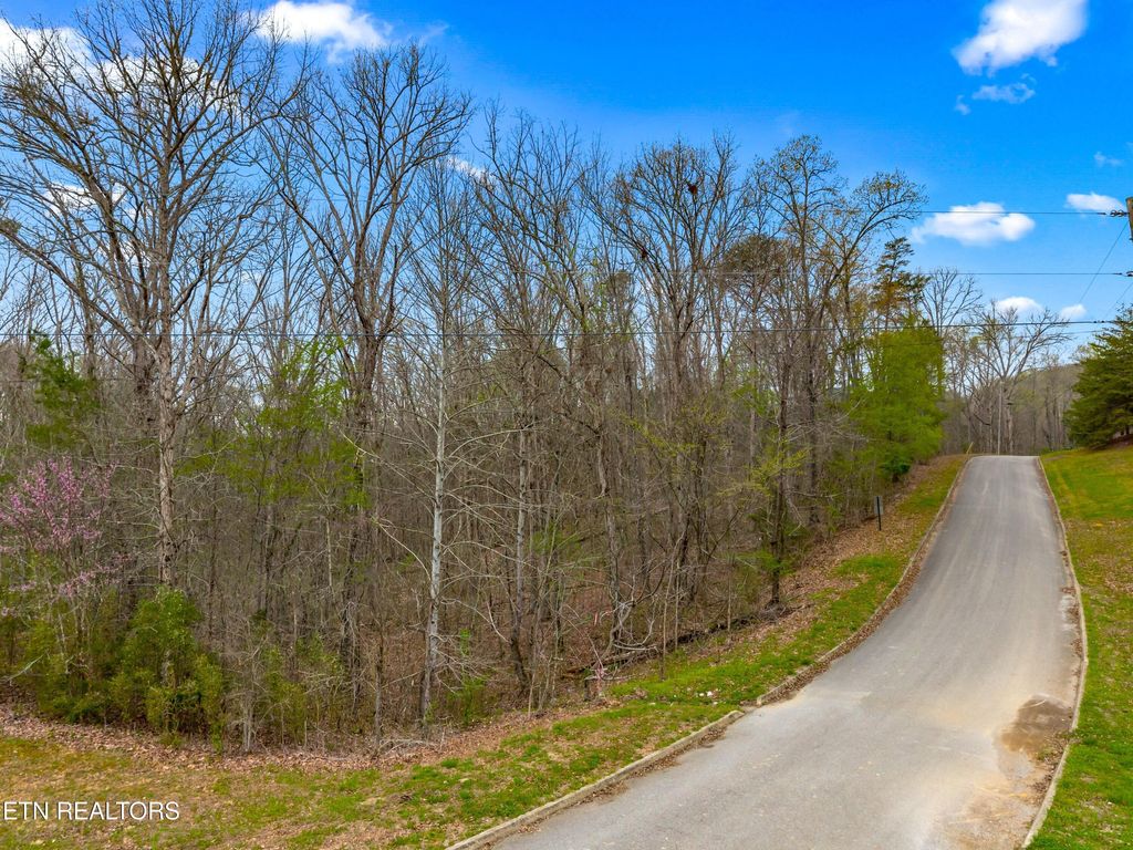 Photo of 107 Turtle Dove Tr, Dandridge, TN 37725 (MLS # 1334661)