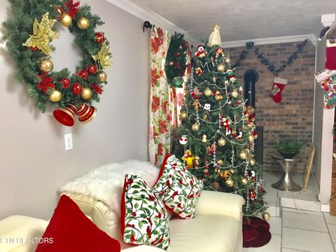 Tiny photo for 412 George Washington Drive, Dandridge, TN 37725 (MLS # 1322647)