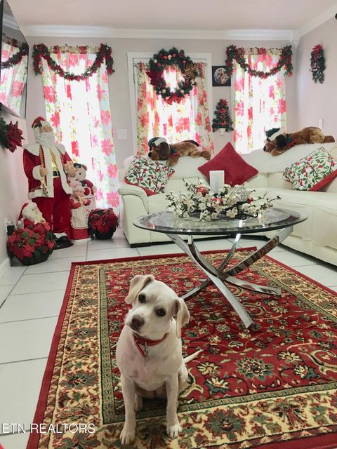 Tiny photo for 412 George Washington Drive, Dandridge, TN 37725 (MLS # 1322647)