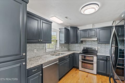 Tiny photo for 412 George Washington Drive, Dandridge, TN 37725 (MLS # 1322647)