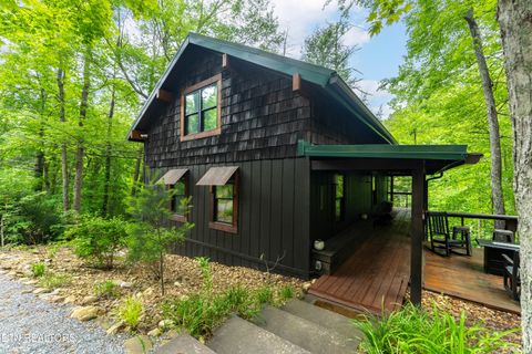 Tiny photo for 2379 Headrick Lead, Sevierville, TN 37862 (MLS # 1340672)