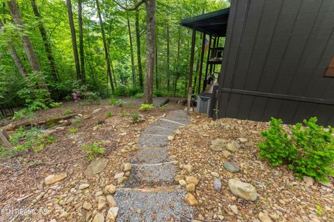 Tiny photo for 2379 Headrick Lead, Sevierville, TN 37862 (MLS # 1340672)