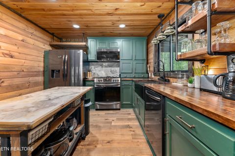 Tiny photo for 2379 Headrick Lead, Sevierville, TN 37862 (MLS # 1340672)