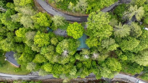 Tiny photo for 2379 Headrick Lead, Sevierville, TN 37862 (MLS # 1340672)