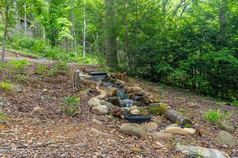 Tiny photo for 2379 Headrick Lead, Sevierville, TN 37862 (MLS # 1340672)