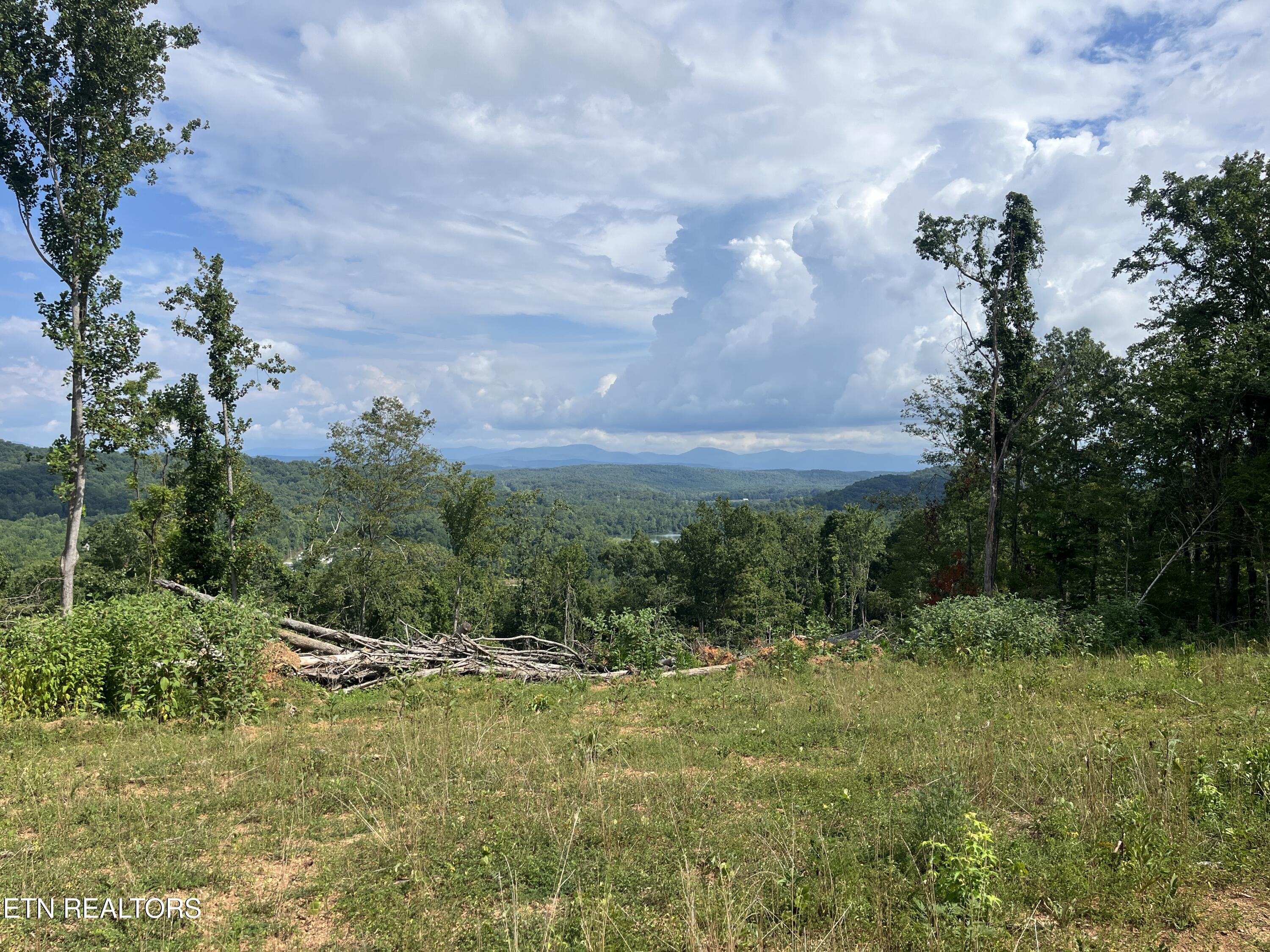 311 Tate Coley Road Off Rd