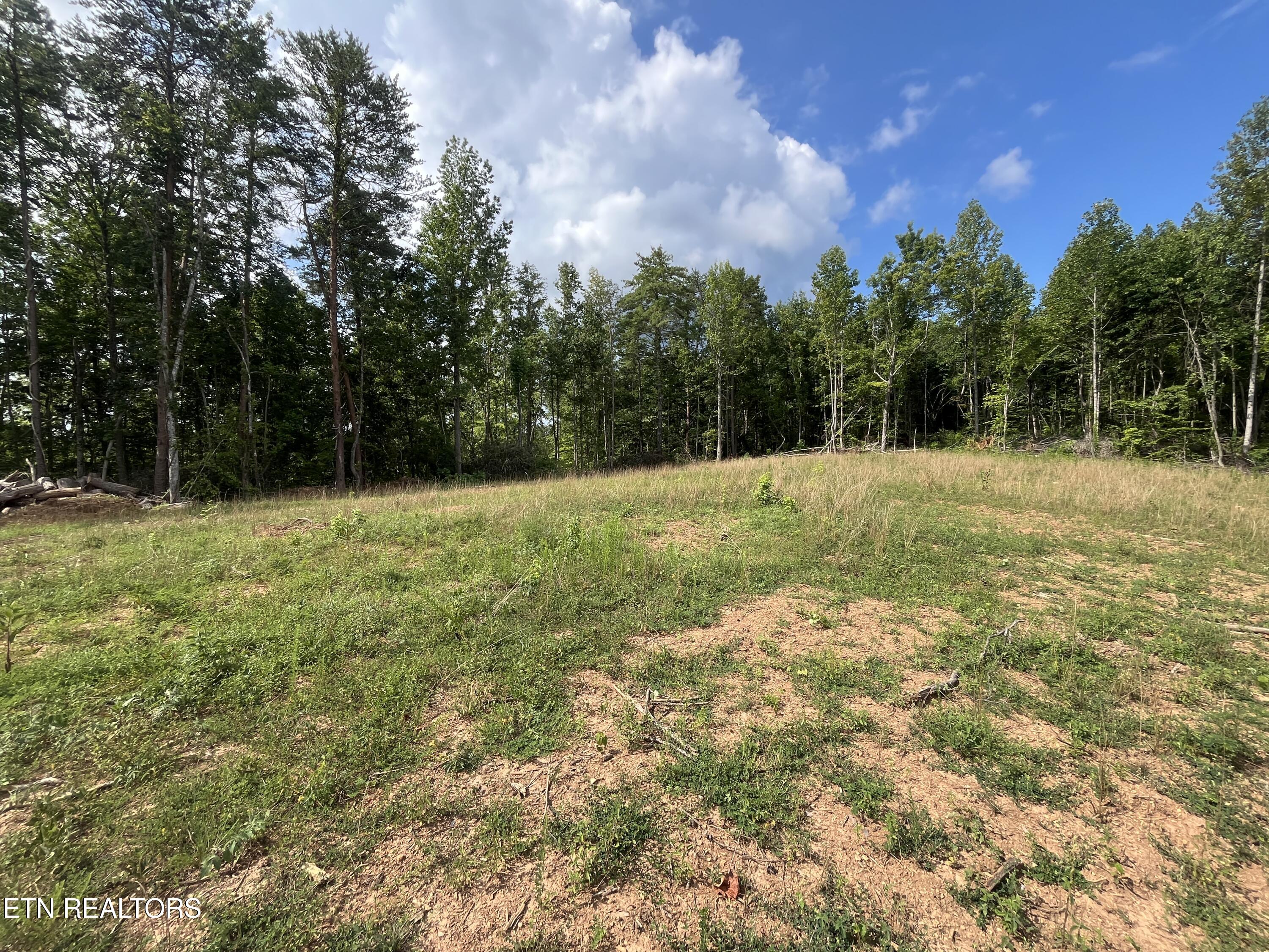 311 Tate Coley Road Off Rd