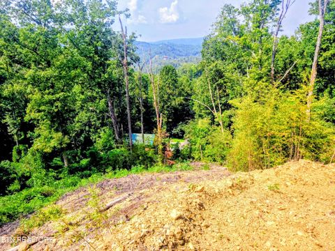 Tiny photo for 72 E Kings Ridge Rd, Gatlinburg, TN 37738 (MLS # 1316837)