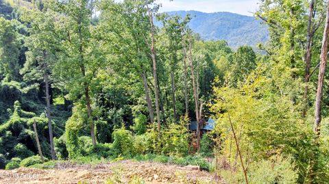 Tiny photo for 72 E Kings Ridge Rd, Gatlinburg, TN 37738 (MLS # 1316837)