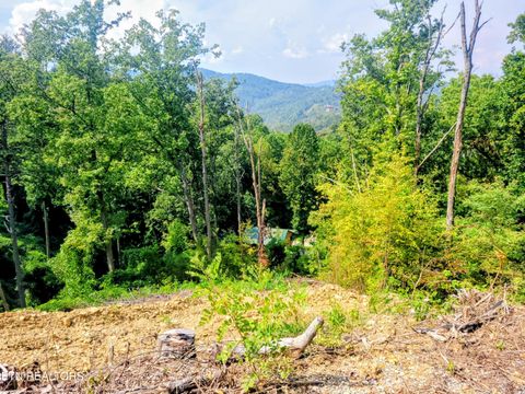Tiny photo for 72 E Kings Ridge Rd, Gatlinburg, TN 37738 (MLS # 1316837)
