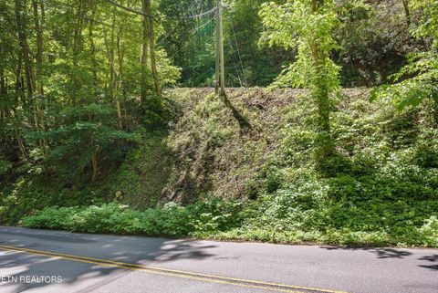 Tiny photo for 983 Stans Rd, Gatlinburg, TN 37738 (MLS # 1340369)