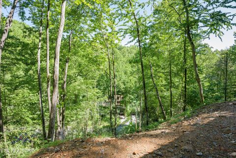 Tiny photo for 983 Stans Rd, Gatlinburg, TN 37738 (MLS # 1340369)