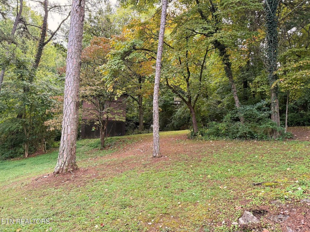 Photo of 120 Short St, Kingston, TN 37763 (MLS # 1315896)