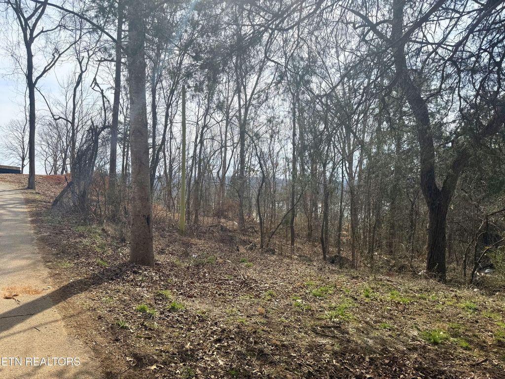 Photo of Straight Branch Rd, Speedwell, TN 37870 (MLS # 1328161)