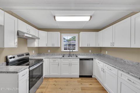 Tiny photo for 178 Clevenger Cut Off Rd, Newport, TN 37821 (MLS # 1316926)