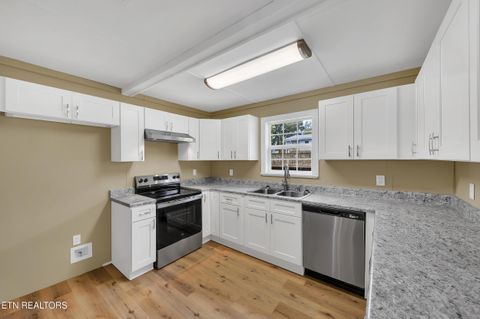 Tiny photo for 178 Clevenger Cut Off Rd, Newport, TN 37821 (MLS # 1316926)