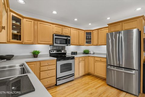 Tiny photo for 340 Parsons Shores Drive, Sharps Chapel, TN 37866 (MLS # 1318712)