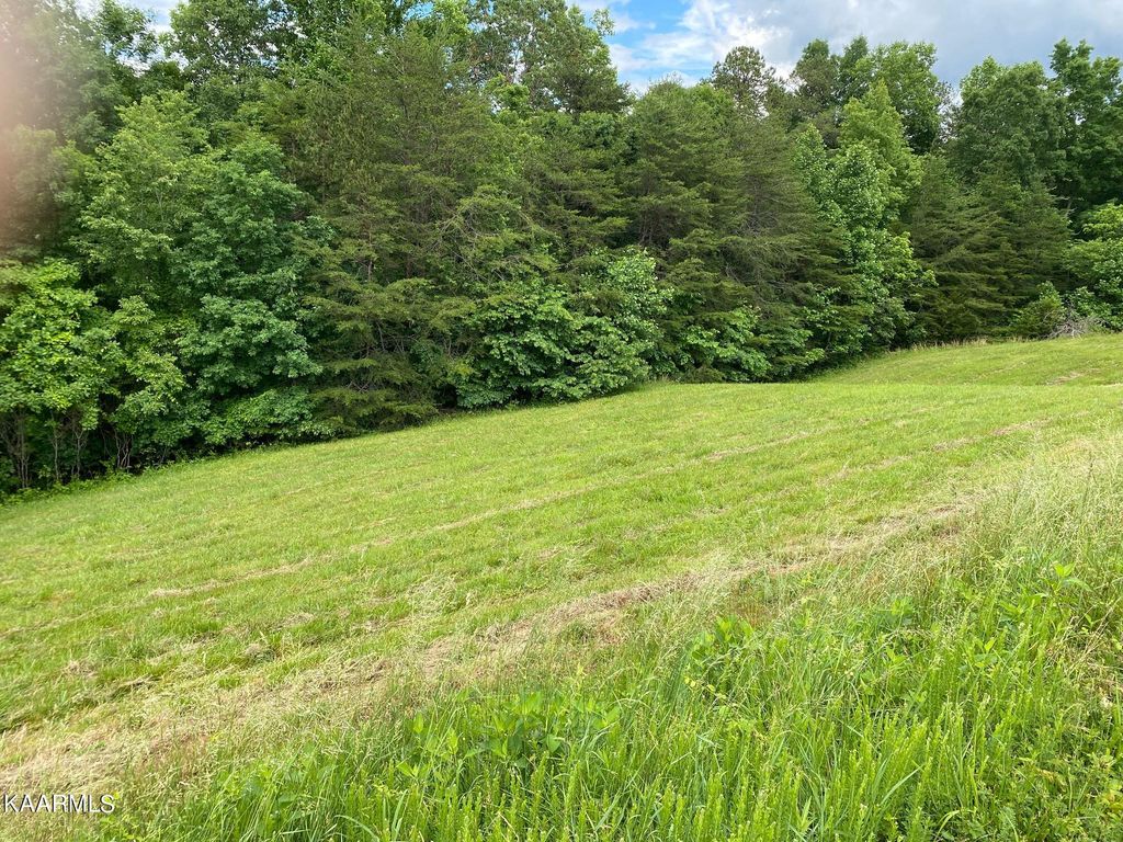 Photo of Lot 257 Marble Point Way, New Tazewell, TN 37825 (MLS # 1193110)