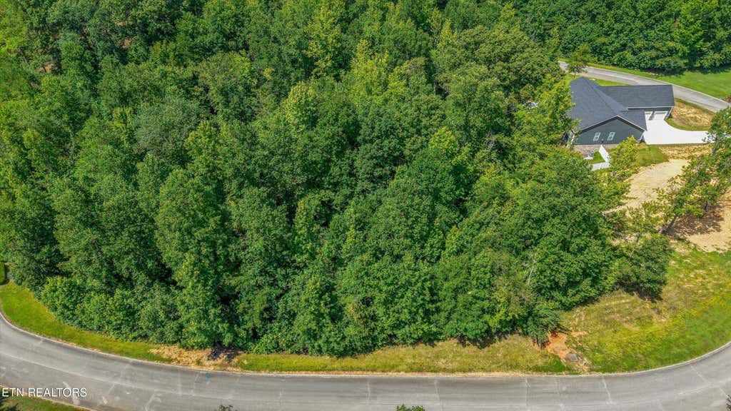 Photo of 35 Emory Cove Drive, Harriman, TN 37748 (MLS # 1349078)