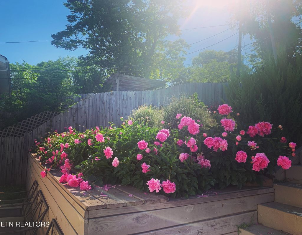 Photo of 116 E Columbia Ave, Knoxville, TN 37917 (MLS # 1331756)