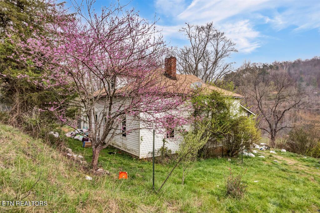 Photo of 290 Maddox Lane, New Tazewell, TN 37825 (MLS # 1243624)