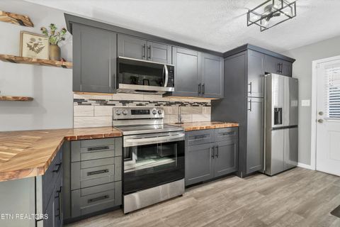 Tiny photo for 2028 Cochran Place, Maryville, TN 37803 (MLS # 1325878)